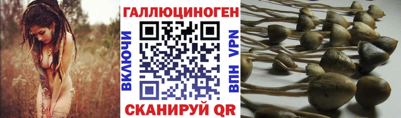 даркнет какой сайт  наркотики  Сусуман  Псилоцибиновые грибы прущие грибы 